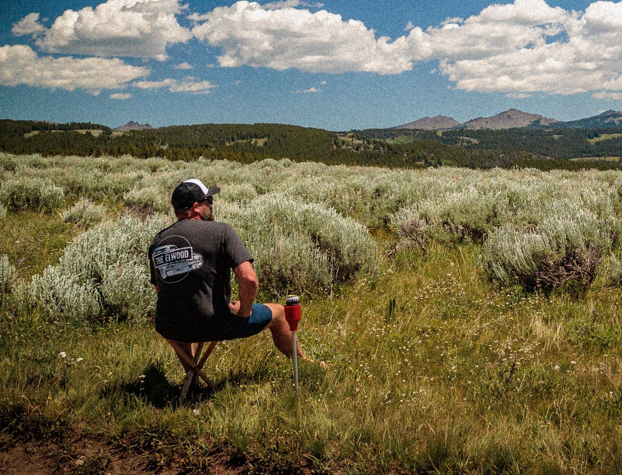 The Drink Spike System